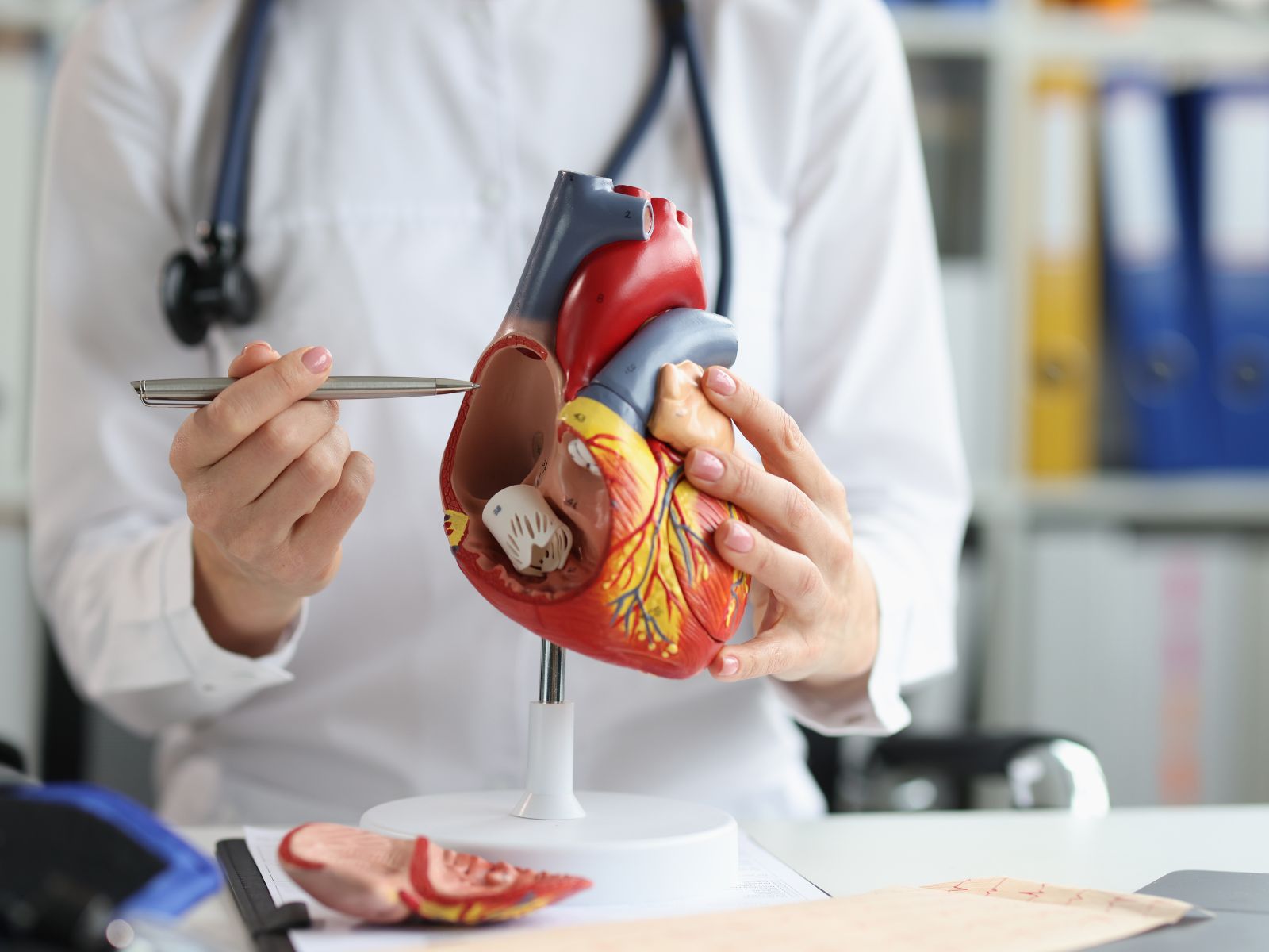 quando fare una visita cardiologica